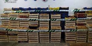 La Guardia Civil denuncia a 42 personas por comerciar con níscalos sin autorización en Guadalajara