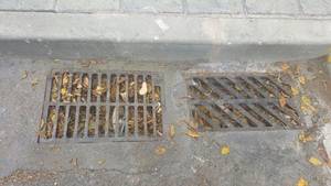 Ciudadanos Azuqueca solicita al equipo de Gobierno una actuación urgente en materia de limpieza viaria