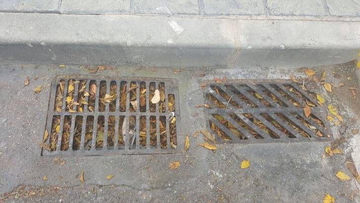 Ciudadanos Azuqueca solicita al equipo de Gobierno una actuación urgente en materia de limpieza viaria