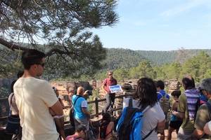 El Geoparque de la Comarca de Molina-Alto Tajo ya es Geoparque Mundial de la UNESCO