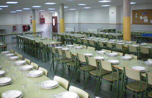 La Junta abrirá comedores escolares en 10 localidades de Guadalajara en Navidad