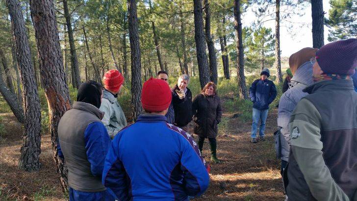 La Diputación ha facilitado formación para resinar a 23 nuevos alumnos