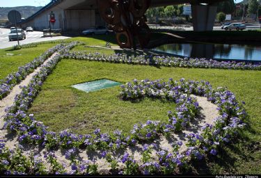 Atropellan en Cuatro Caminos a dos vecinas de Jadraque