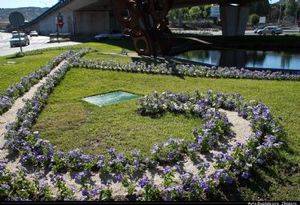 Atropellan en Cuatro Caminos a dos vecinas de Jadraque