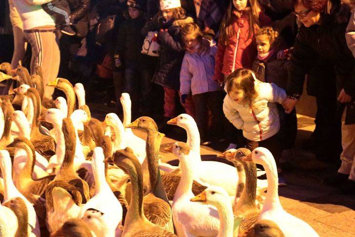 El frío no impide que miles de guadalajareños disfruten de la Cabalgata de los Reyes Magos de Oriente en Guadalajara