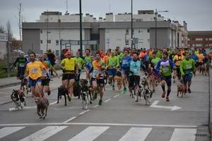 Récord de participantes en el VII Canicross de Marchamalo del Circuito de la Diputación