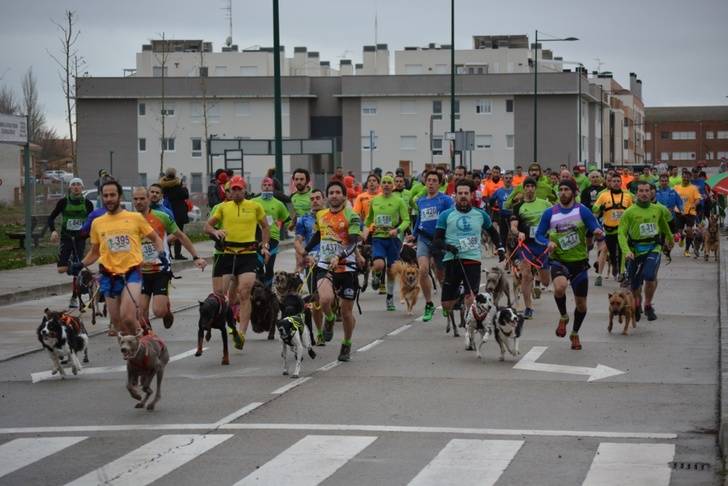 Récord de participantes en el VII Canicross de Marchamalo del Circuito de la Diputación