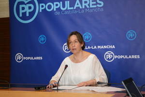 Guarinos: Page ha venido a Guadalajara a engañarnos de nuevo, al no comprometer los 32 millones que el campus universitario necesita