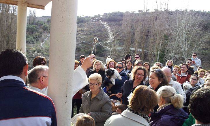 Mascotas y caridades cumplen con la tradición de que San Antón les bendiga en Pastrana