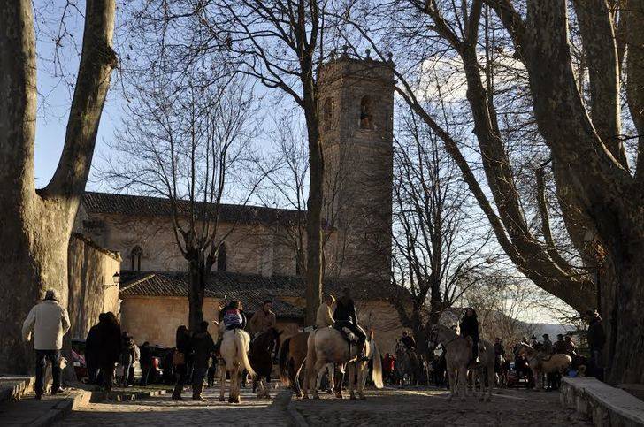 Brihuega celebra la festividad de San Antón