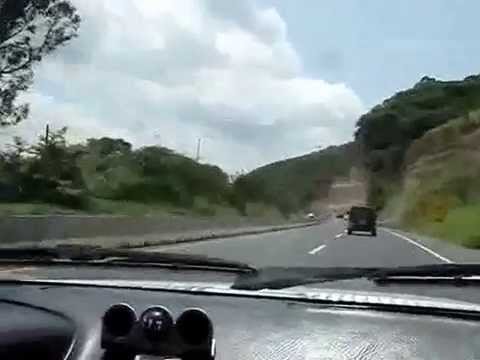 Los vecinos retiran un árbol caído en la CM-2053, a la altura de Trillo, tras ser derribado del viento