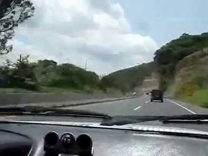 Los vecinos retiran un árbol caído en la CM-2053, a la altura de Trillo, tras ser derribado del viento