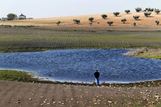 Los humedales manchegos no están en el mapa