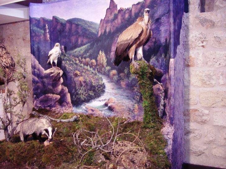 La Diputación habilita un nuevo espacio del Geoparque de Molina-Alto Tajo en el castillo de Torija