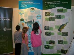 La sala de exposiciones de Alovera acoge la exposición de Fauna del Río Henares y La Campiña