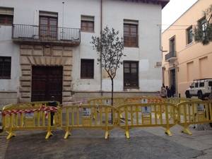 Plantada una encina en la plaza de San Esteban