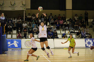 Motorsan Guadalajara jugará la fase de ascenso a la máxima categría del Voleibol español