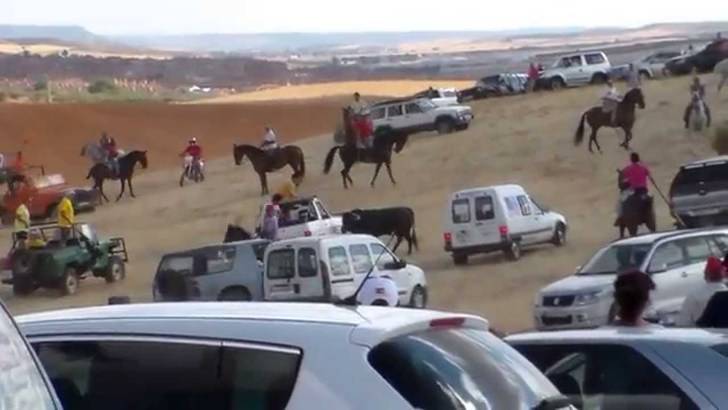 El Ayuntamiento de Torrejón del Rey consultará a sus vecinos si debe seguir pagando los gastos de los toros en fiestas