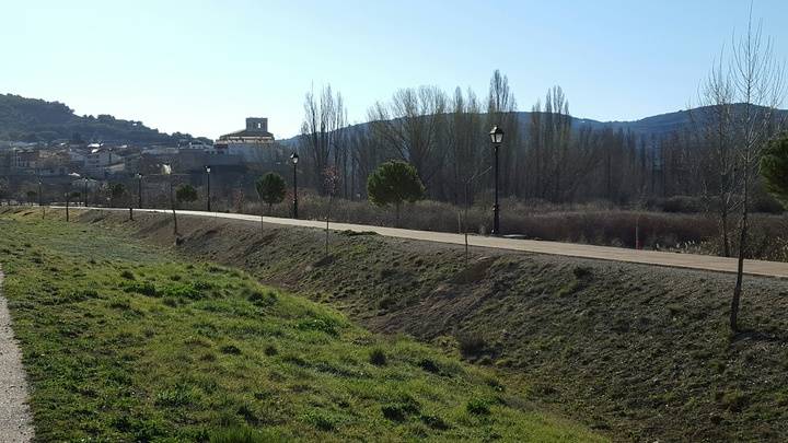 Pareja planta un centenar de árboles ornamentales en diferentes espacios públicos de la villa