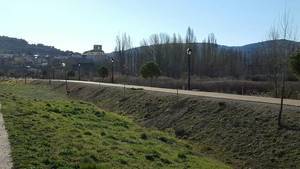 Pareja planta un centenar de árboles ornamentales en diferentes espacios públicos de la villa