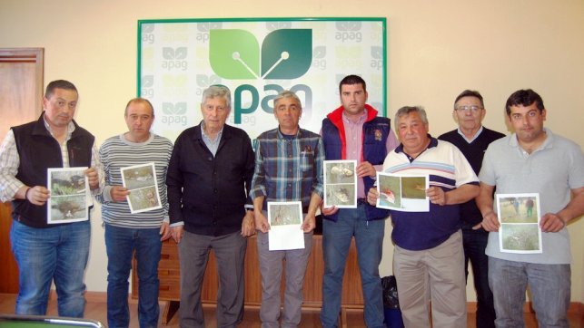 Ganaderos de Guadalajara piden medidas a la Junta por los ataques de los buitres