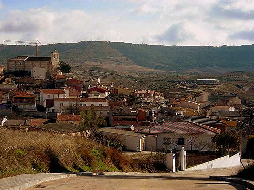 El Ayuntamiento de Tórtola niega rotundamente que haya dado autorización para matar perros vagabundos