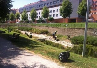 El Ayuntamiento de Guadalajara introducirá importantes mejoras en el mantenimiento de los parques y zonas verdes