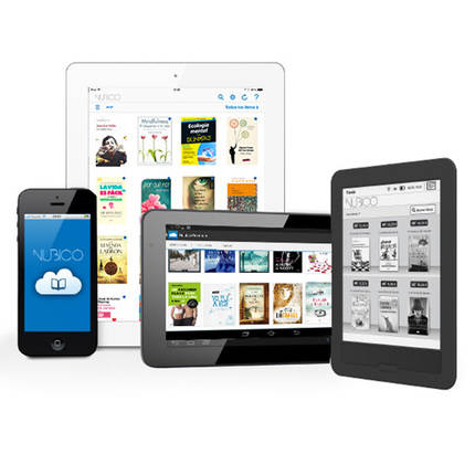 ¿Por qué han fracasado las plataformas de libros digitales?