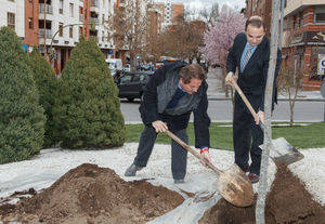 Guadalajara se suma al Día del Árbol, plantando una encina en la glorieta de la Unión Europea
