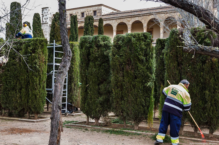 Los jardines del Infantado están siendo objeto de numerosas actuaciones de mejora