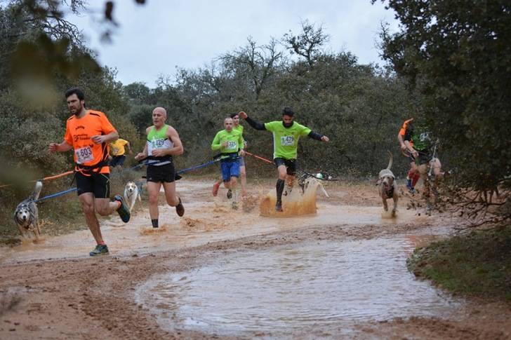 Celebrado el IV Canicross de Yebes-Valdeluz
