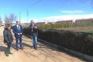 La Diputación ha distribuido más de 1.700 árboles a 125 pueblos de la provincia