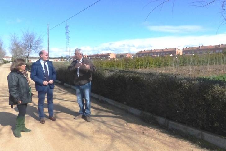 La Diputación ha distribuido más de 1.700 árboles a 125 pueblos de la provincia