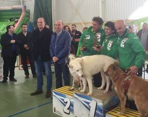Espectacular cierre de temporada con el Canicross de Humanes