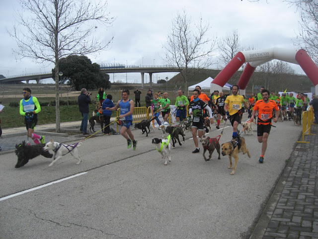 Celebrado el IV Canicross de Yebes-Valdeluz