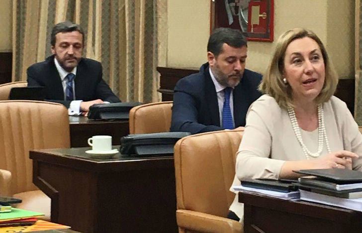 Silvia Valmaña reafirma en el Congreso el compromiso del PP con las personas con discapacidad, con sus familias y con el movimiento asociativo