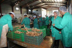 Cospedal resalta en Torre del Burgo la labor de nuestros agricultores, así como la calidad y la comercialización de nuestros productos