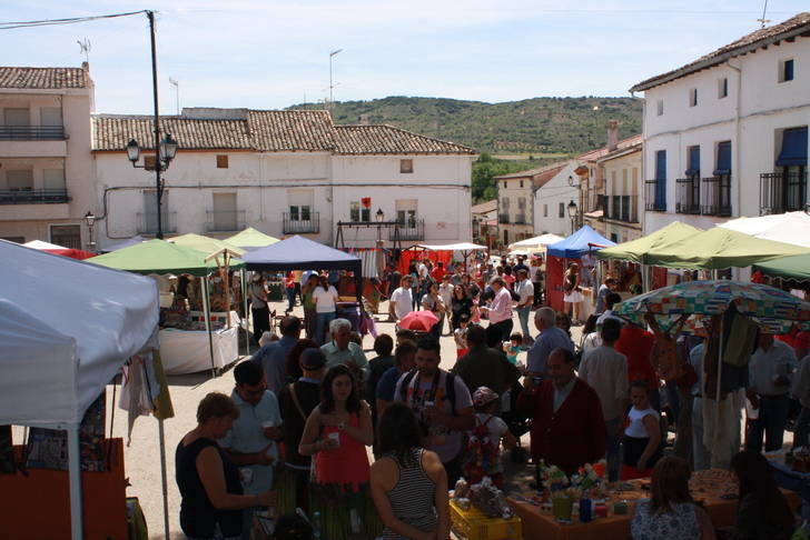 Aranzueque celebrará sus X Jornadas Gastronómicas del Espárrago Verde