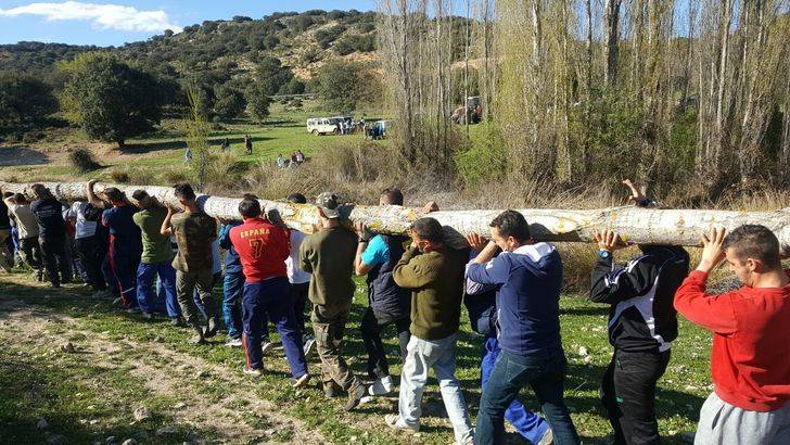 El mayo de Fuentenovilla compite en estatura con la Torre de la Iglesia