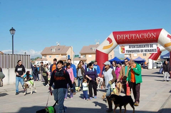 YunCAN,una feria donde los Perros son los únicos protagonistas