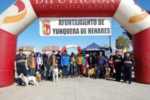 YunCAN,una feria donde los Perros son los únicos protagonistas