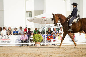 Ecualtur Yunquera 2016 acogerá el I Concurso Nacional de Doma Vaquera