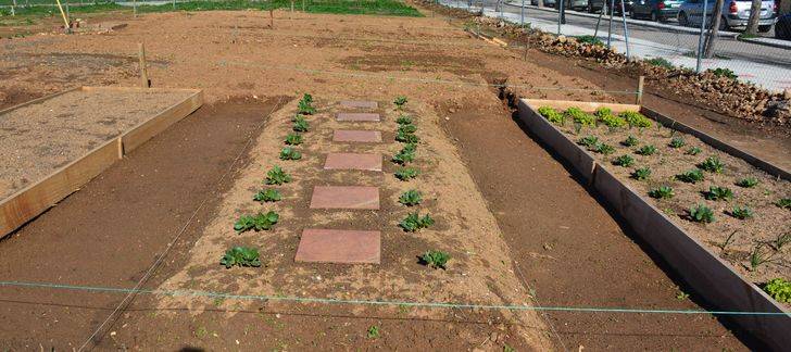 Nueva convocatoria de la escuela agroecológica de Alovera