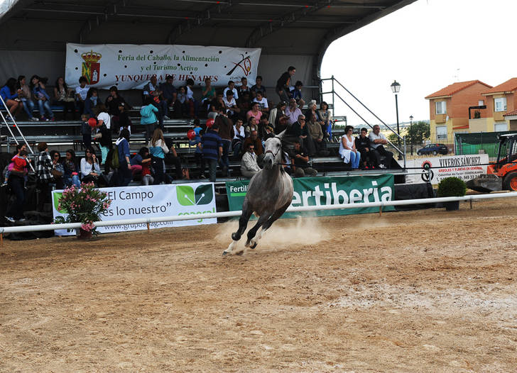 La séptima edición de Ecualtur Yunquera ya tiene fecha oficial: será del 3 al 5 de junio