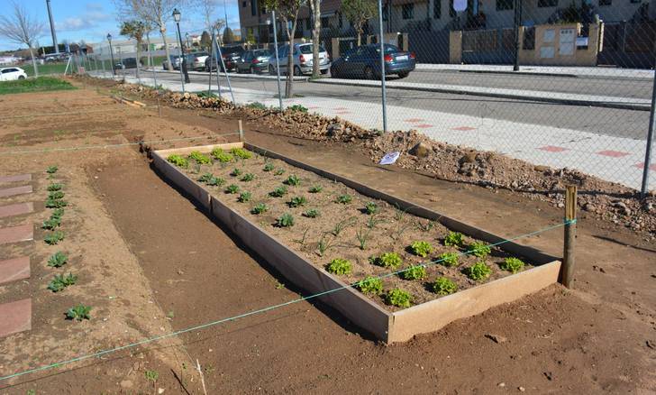 Los alumnos de la Escuela Agroecológica dispondrán de sus huertos durante un año en Alovera