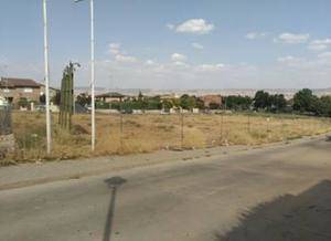 El Ayuntamiento de Cabanillas limpiará y vallará varias parcelas municipales en las próximas semanas