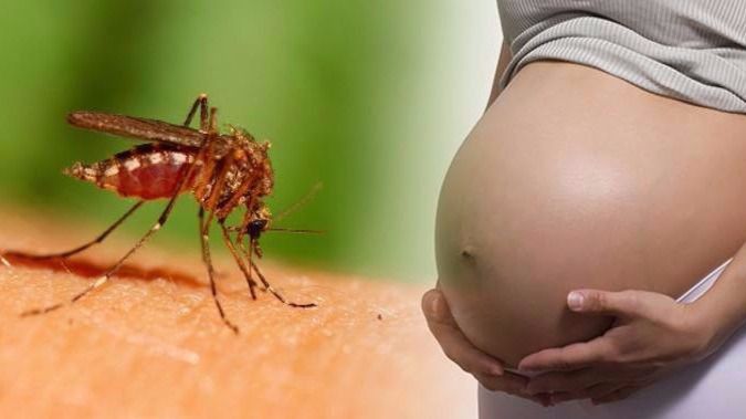 Crean un consorcio para desarrollar la vacuna del Zika