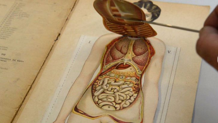 Libros móviles del siglo XV