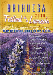 Este verano, Brihuega se tiñe de morado y extiende la programación cultural del Festival de la Lavanda a todo el mes de julio