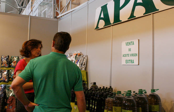 Las cabezas de lista de Ciudadanos (Cs) participan en diferentes eventos de Guadalajara